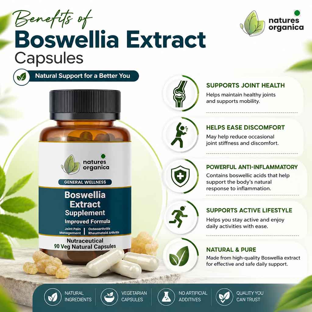 Boswellia Extract Supplement – Natural Joint Support Capsules | Nature Organica