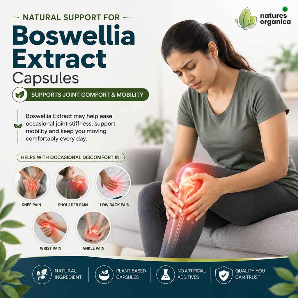 Boswellia Extract Supplement – Natural Joint Support Capsules | Nature Organica