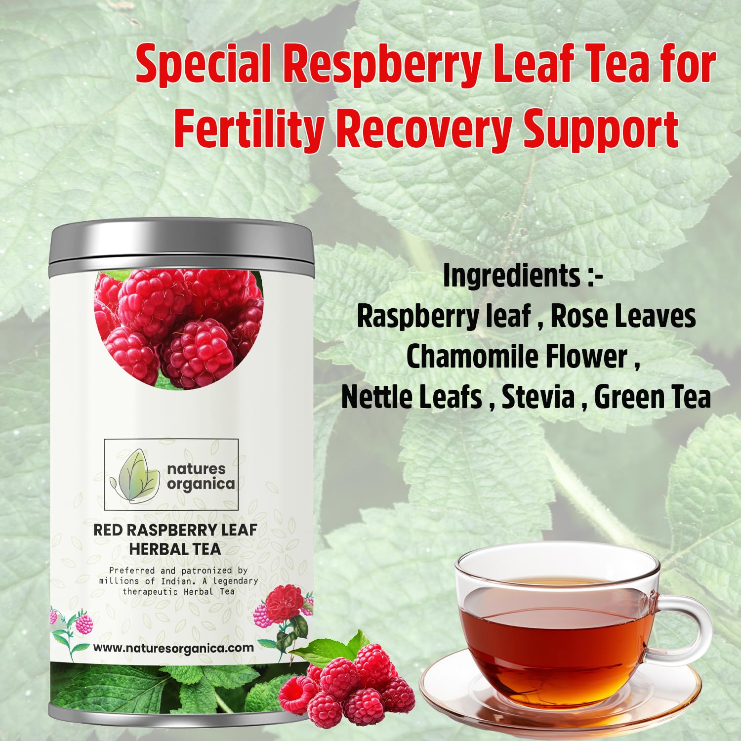 Raspberry Leaf Tea ( 60gm)